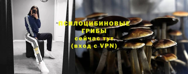 прущая мука Абаза