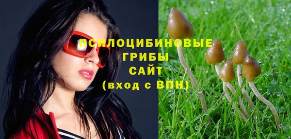 бошки Протвино