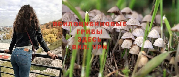 бошки Протвино