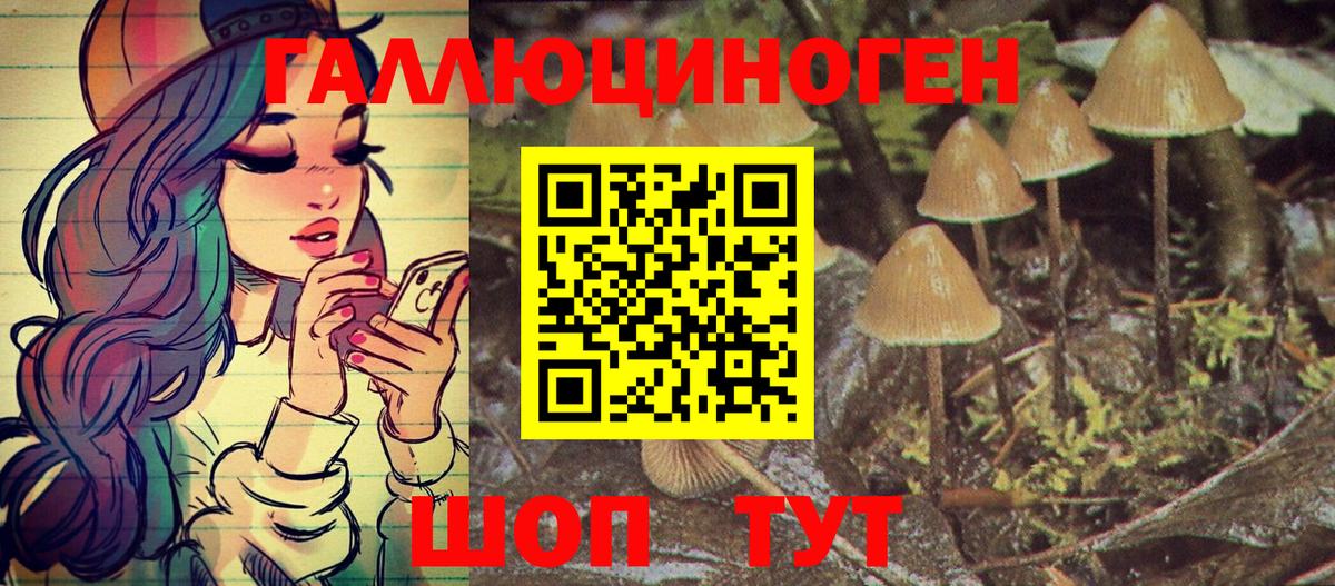 где продают наркотики  Вход с VPN  Каменка  Псилоцибиновые грибы MAGIC MUSHROOMS 