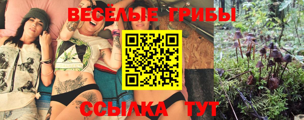 Псилоцибиновые грибы ЛСД Каменка